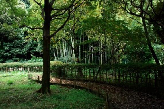 【トライダント翠耀館の公園】