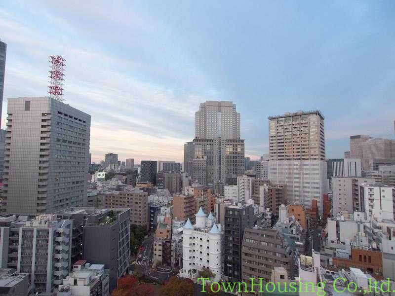 【港区赤坂のマンションの眺望】