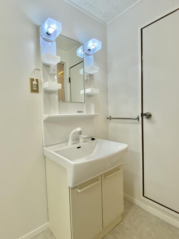 洗面設備　シャワー付きの洗面化粧台です。