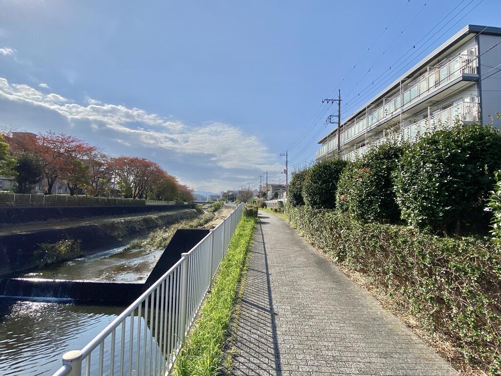 その他　大栗川沿いの緑道はワンちゃんのお散歩コースに最適です。