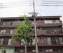 桂駅より徒歩5分 3階 築43年8ヶ月の賃貸物件