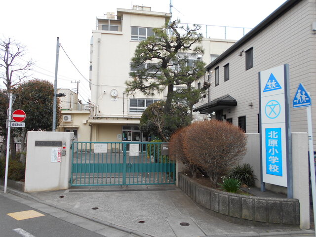 小学校　中野区立北原小学校（小学校）まで120m
