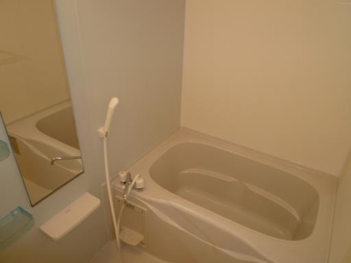 バス・シャワールーム　浴室です。