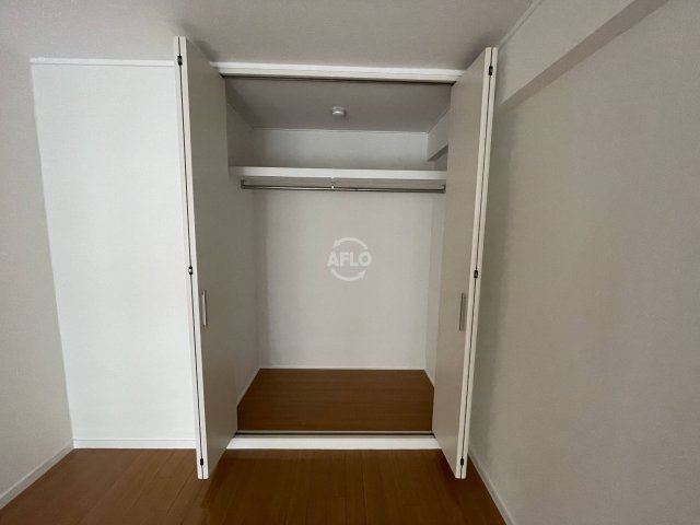 収納　スターレジデンス南堀江　クローゼット