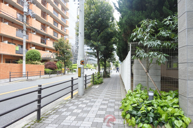 その他　周辺（その他）まで10m