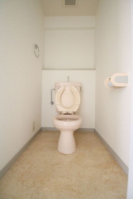 メゾン丸正のトイレ写真