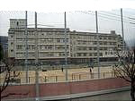 中学校　神戸生田中学校（中学校）まで1259m