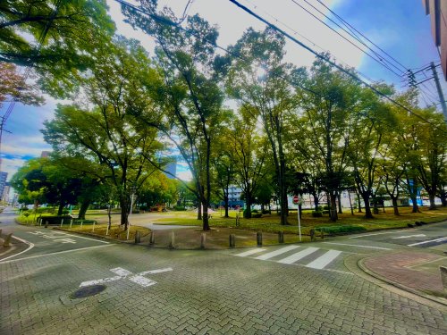 公園　葉場公園（公園）まで337m
