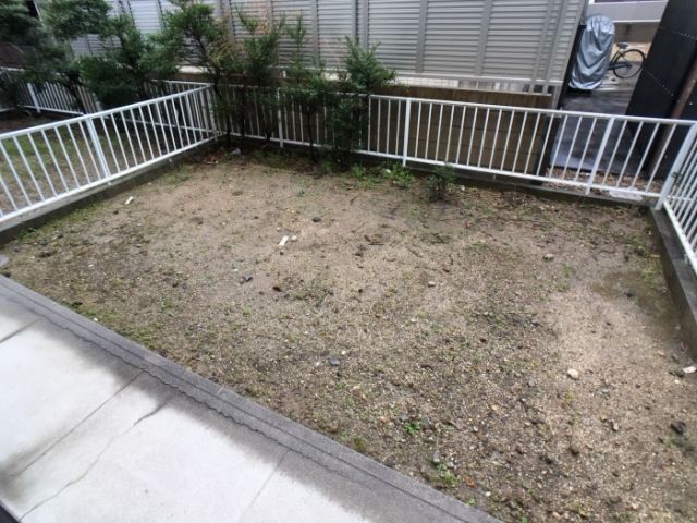 庭