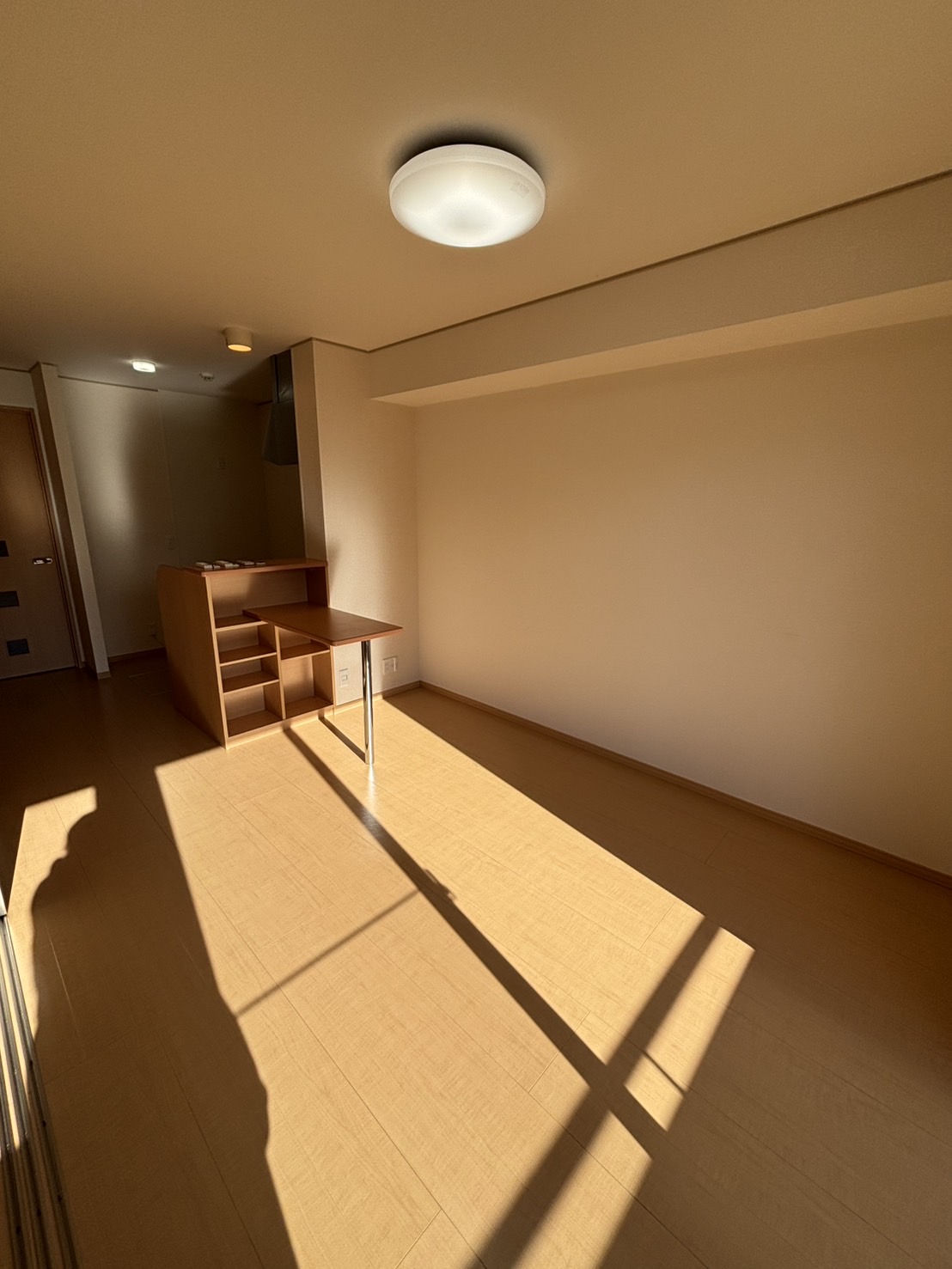 居室・リビング　反転タイプのお部屋になります。