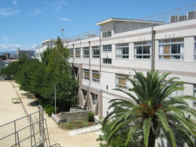 小学校　高石市立 清高小学校（小学校）まで51m