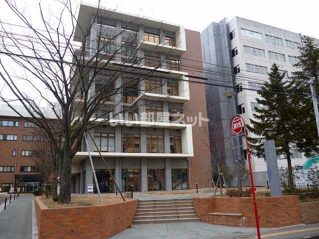 大学・短大　東北大学　星稜キャンパス（大学・短大）まで524m