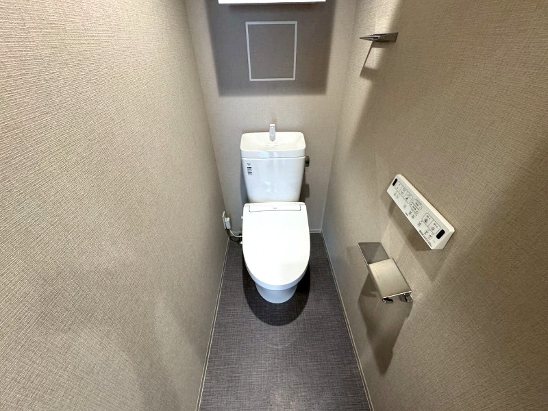 プレサンス レイズ 新梅田Cのトイレ写真