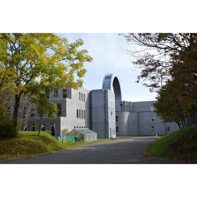 中学校　幣舞中学校（中学校）まで1050m