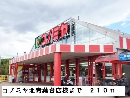 スーパー　コノミヤ北青葉台店様（スーパー）まで210m