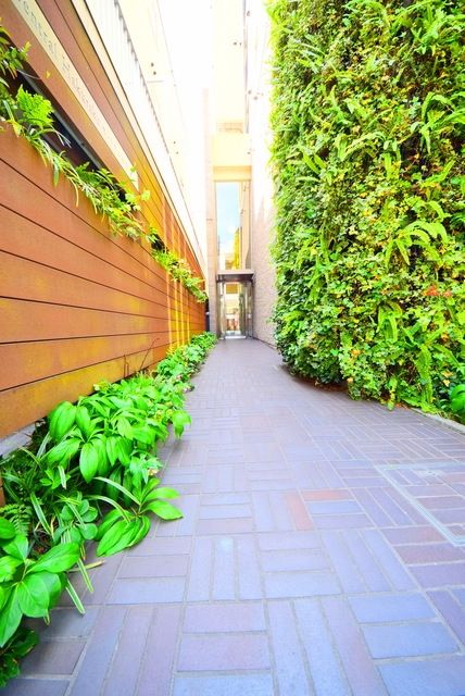 エントランス　同物件別部屋写真