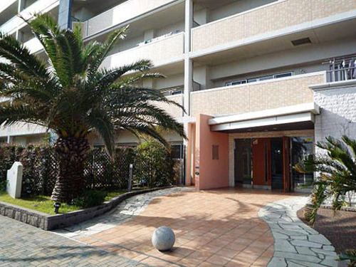 その他　2011年11月撮影