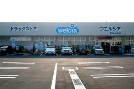 ドラックストア　ウエルシア（ドラッグストア）まで2598m