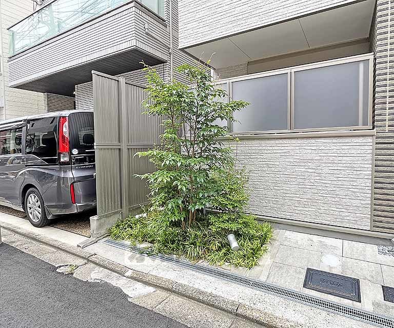 庭