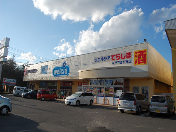 その他　ウエルシア（その他）まで3170m