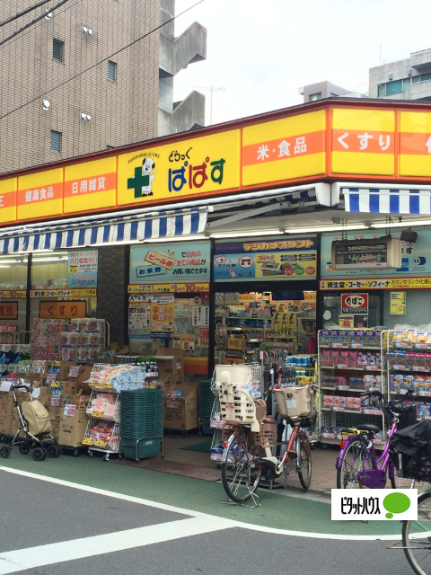 ドラックストア　どらっぐぱぱす板橋清水町店（ドラッグストア）まで252m
