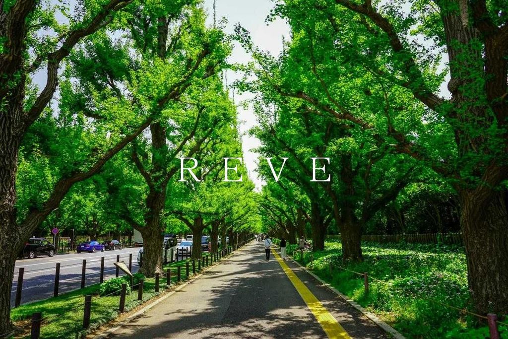 その他　青山公園（その他）まで160m
