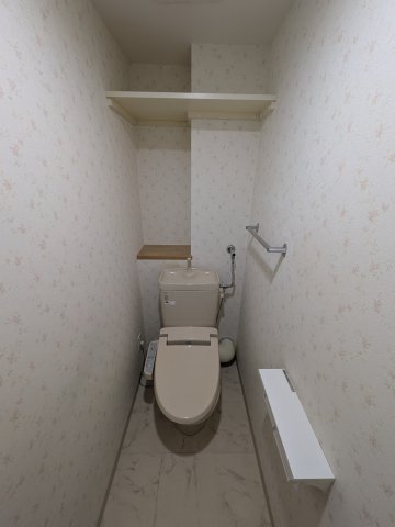 ラフィーネ福住のトイレ写真