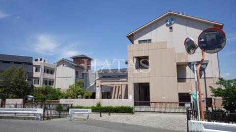 小学校　高浜市立翼小学校（小学校）まで600m