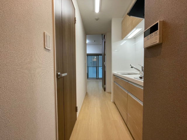 玄関　２０３号室の写真です。