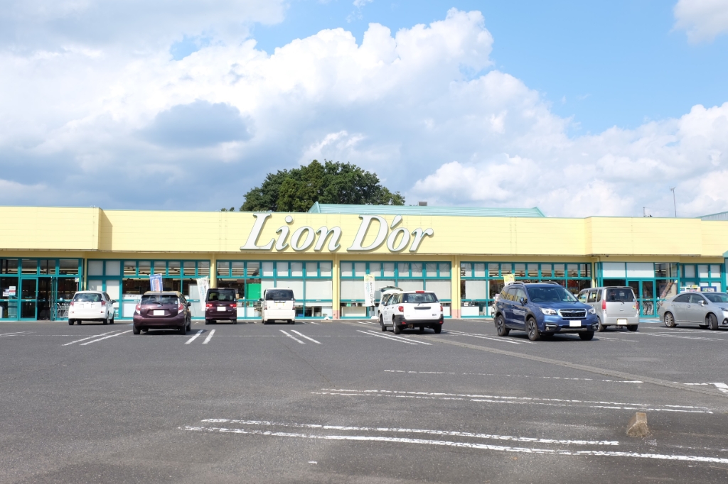 スーパー　リオン・ドール高根沢店（スーパー）まで1489m