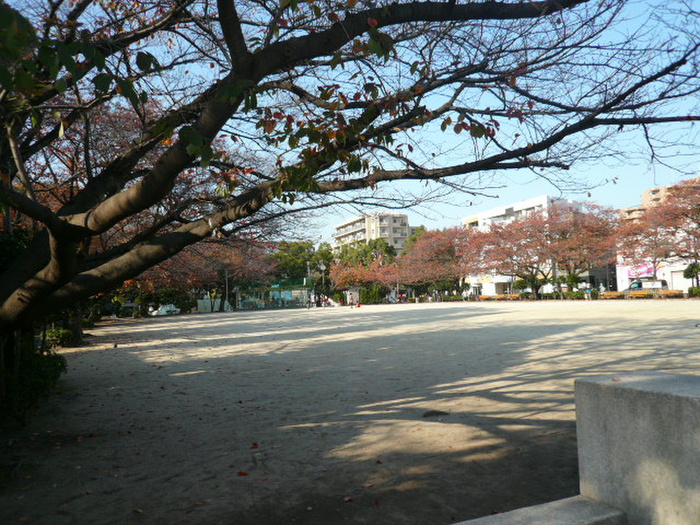 公園　スポ－ツ公園（公園）まで20m