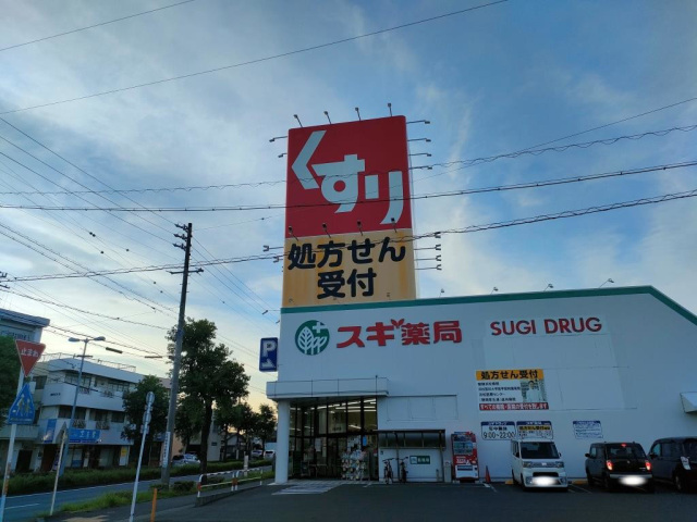 ドラックストア　スギ薬局浜松住吉店（ドラッグストア）まで712m