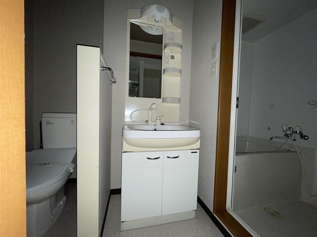 洗面設備　写真は違う号室です。