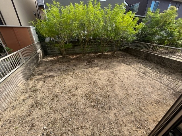 庭
