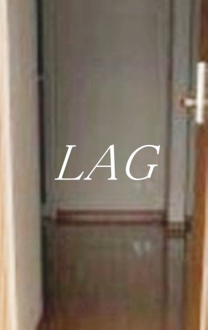 その他部屋・スペース　室内になります。