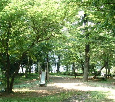公園　西谷自然の森（公園）まで893m