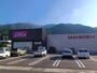 ドラックストア　コスモス土居店（ドラッグストア）まで2189m