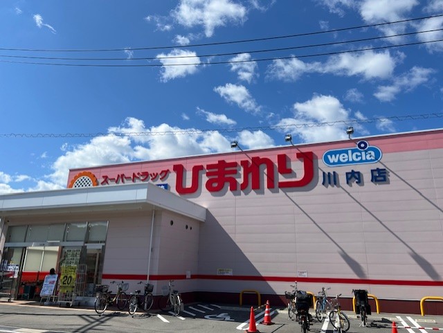 ドラックストア　スーパードラッグひまわり川内店（ドラッグストア）まで733m