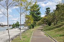 公園　陽光緑地（公園）まで848m