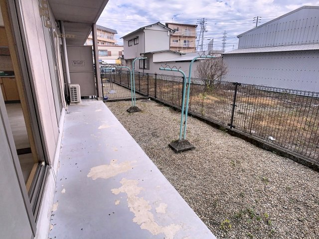 庭　2025年10月撮影