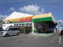 ドラックストア　ジャパン　高槻下田部店（ドラッグストア）まで1460m
