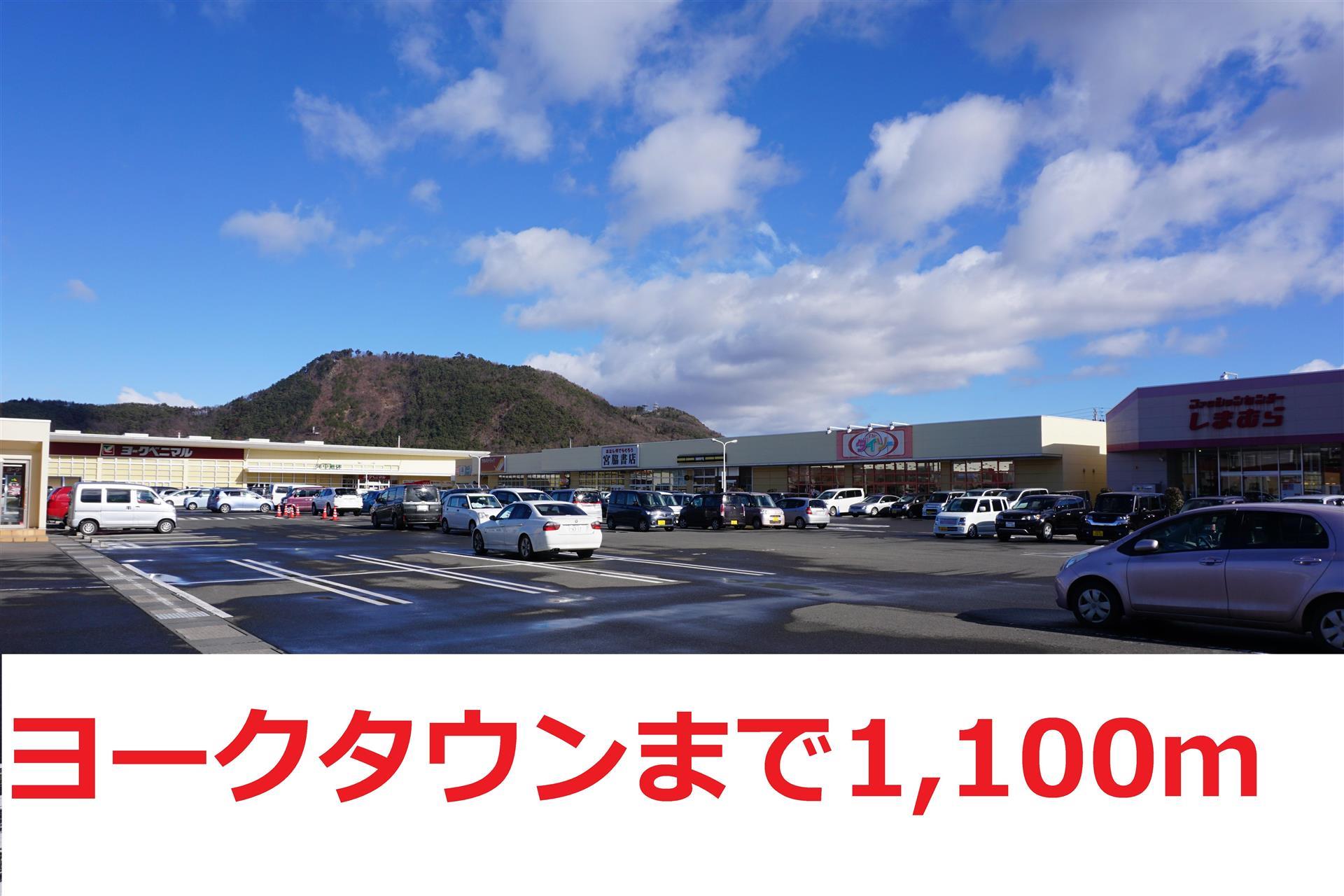 スーパー　ヨークタウン野田町（スーパー）まで1100m