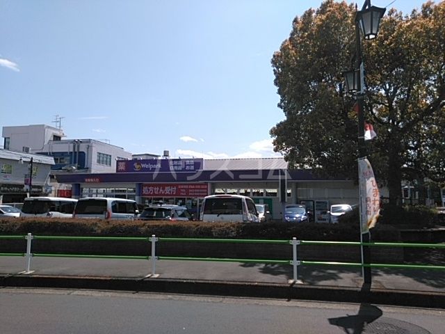 ドラックストア　ウェルパーク（ドラッグストア）まで229m