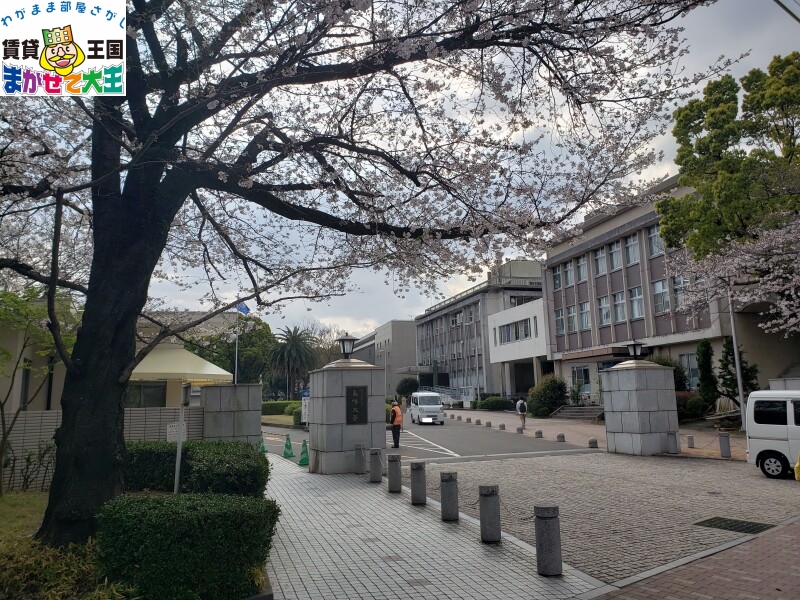 【ブランメゾン道の尾の大学・短大】