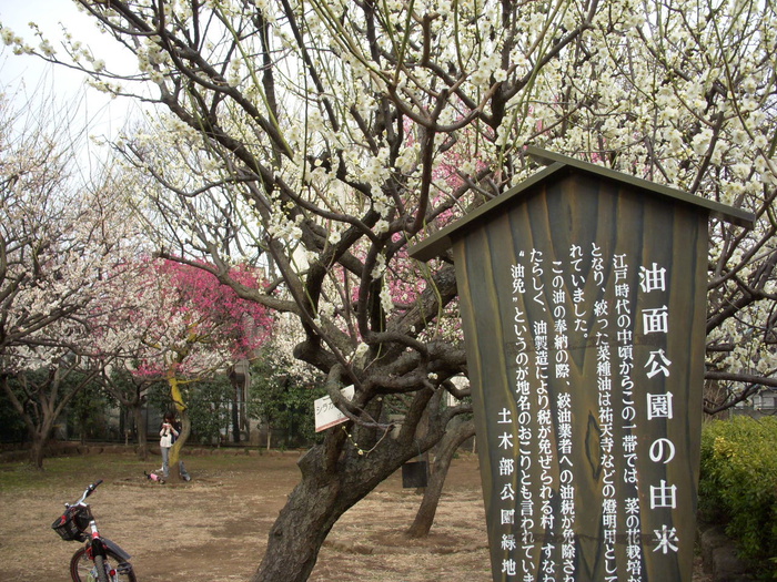 公園　油面公園（公園）まで230m