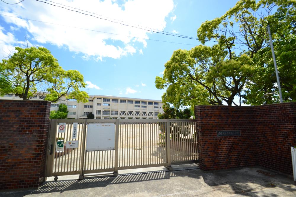 小学校　尼崎市立立花南小学校（小学校）まで349m