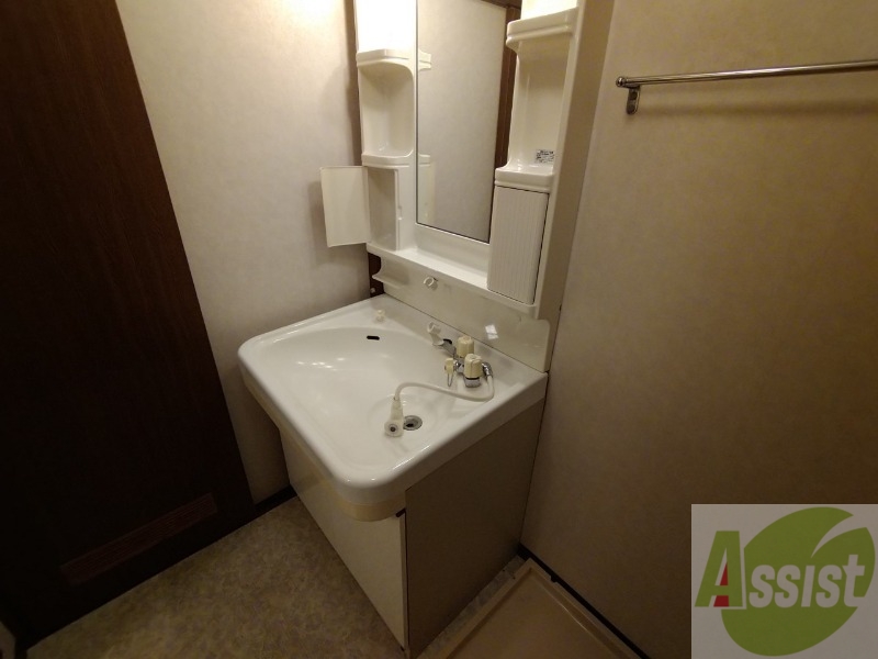 洗面設備　シャンプードレッサー。身支度はここでばっちりですね。