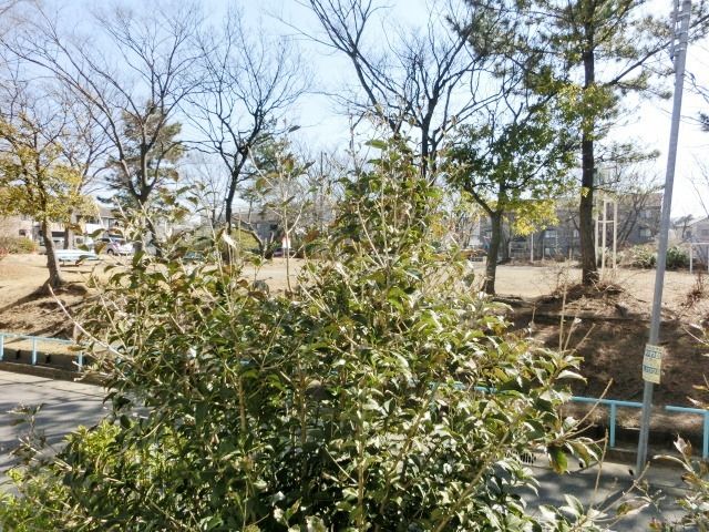 眺望　目の前は公園です。