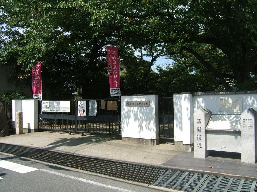 小学校　伊丹市立　稲野小学校（小学校）まで263m