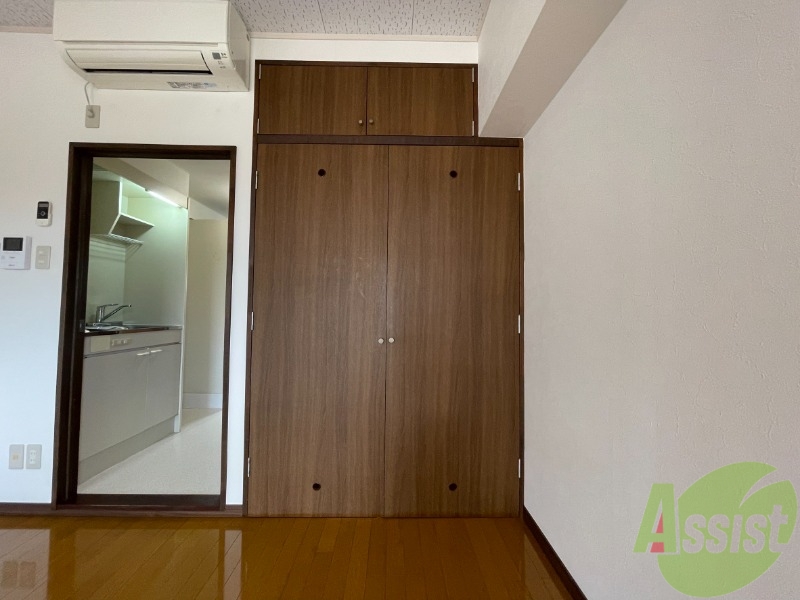 収納　クローゼットになります。大きいので中が気になります。